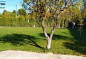 Отдельно стоящий дом с участком на продажу в городе Альбасете Фото