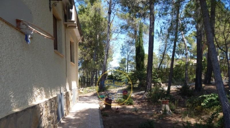 Alicante - Bañeres - 1848m2