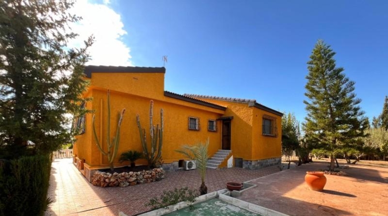 Alicante - Elx - 2303m2
