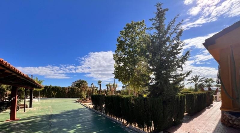 Alicante - Elx - 2303m2