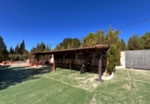 Xalet independent amb terreny en venda a la España, Elx, ref.: TR177657 foto