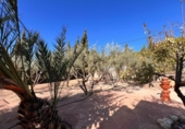 Xalet independent amb terreny en venda a la España, Elx, ref.: TR177657 foto