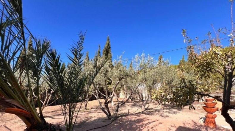 Alicante - Elx - 2303m2