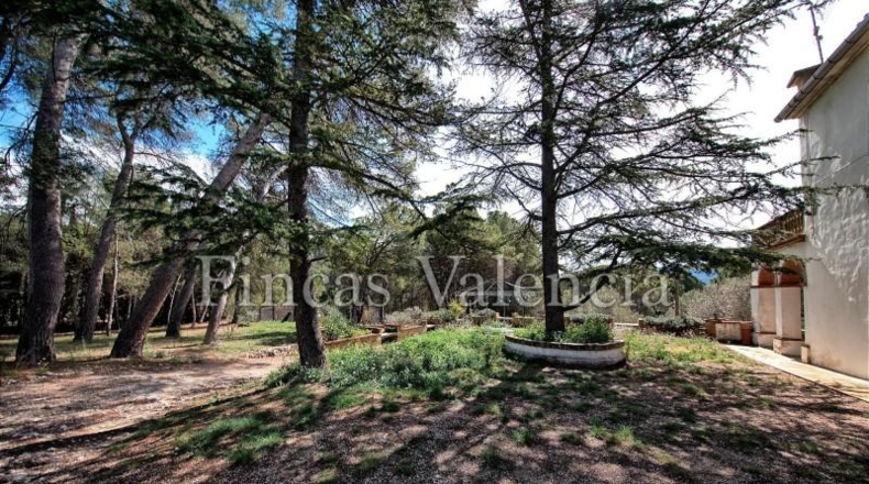 Alicante - Alcoy - 17332m2