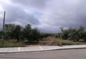 Parcel·la urbanitzable en venda a la España, Fuensanta de Martos, ref.: TR114265 foto