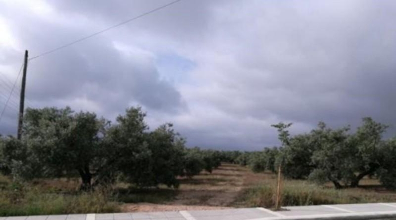 Jaén - Martos - 12472m2