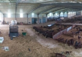 Casa de camp amb terreny en venda a la España, Brozas, ref.: TR161253 foto