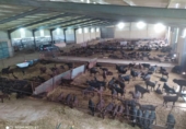 Casa de camp amb terreny en venda a la España, Brozas, ref.: TR161253 foto