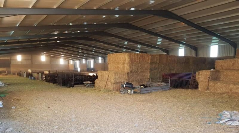 Cáceres - Brozas - 70000m2