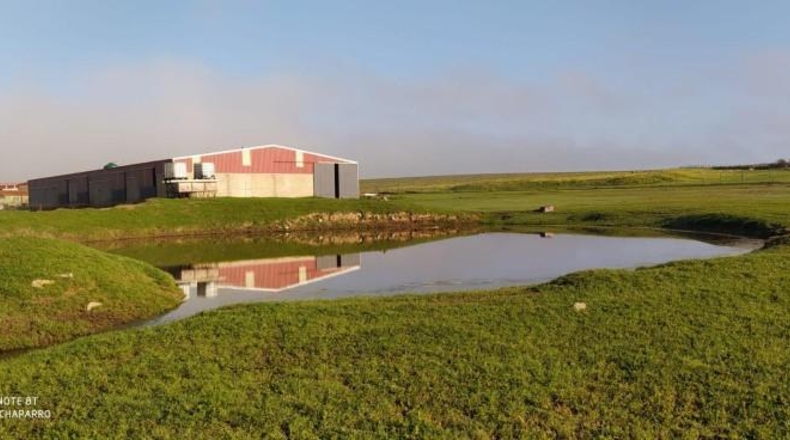 Cáceres - Brozas - 70000m2