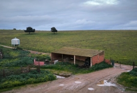 Foto 11