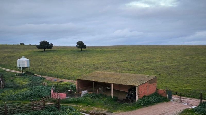 Cáceres - Brozas - 70000m2