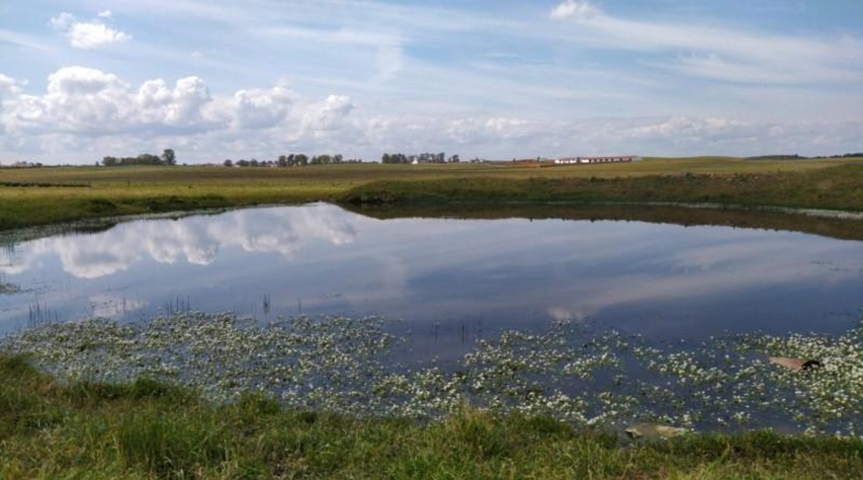 Cáceres - Brozas - 70000m2