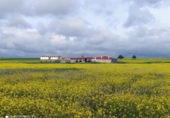 Casa de camp amb terreny en venda a la España, Brozas, ref.: TR161253 foto