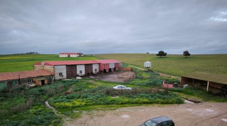 Cáceres - Brozas - 70000m2