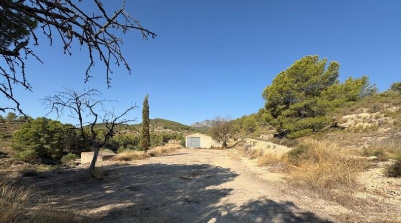 Alicante - Вильяхойоса - 804m2