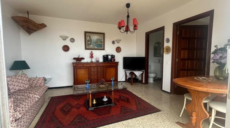 Santa Cruz de Tenerife - La Matanza de Acentejo - 973m2