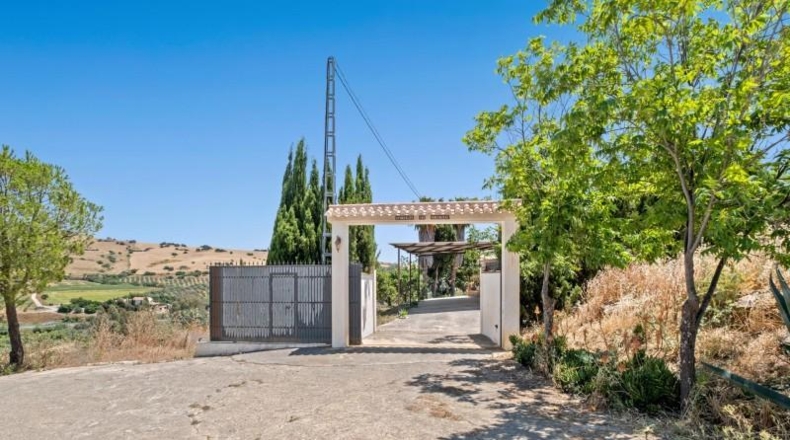 Málaga - Pizarra - 120000m2