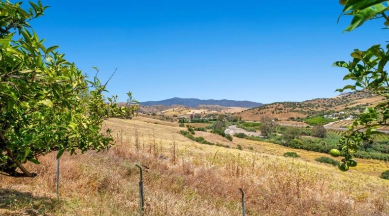 Málaga - Pizarra - 120000m2