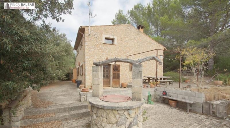 Islas Baleares - Campanet - 3500m2