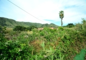 Finca rústica en venda a la España, Tegueste, ref.: TR275931 foto