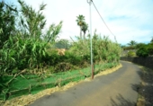 Finca rústica en venda a la España, Tegueste, ref.: TR275931 foto