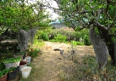 Finca rústica en venda a la España, Tegueste, ref.: TR275931 foto