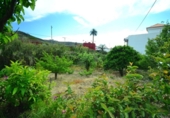 Finca rústica en venda a la España, Tegueste, ref.: TR275931 foto