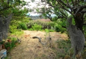 Finca rústica en venda a la España, Tegueste, ref.: TR275931 foto