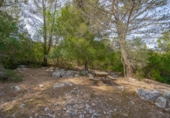 Chalet independiente con terreno en venta en la España, Campanet, ref: TR311110 foto