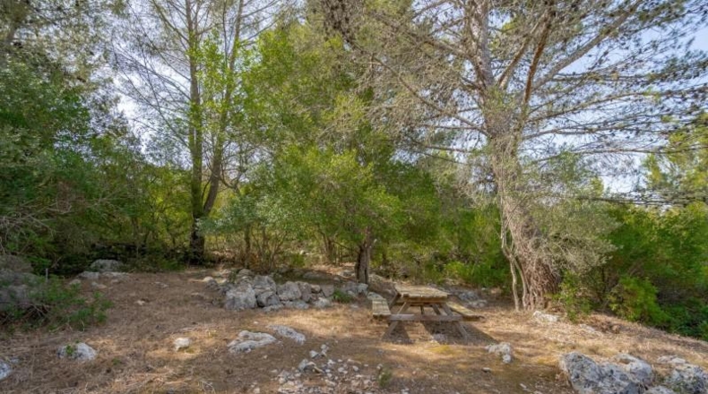 Balearic Islands - Campanet - 3552m2