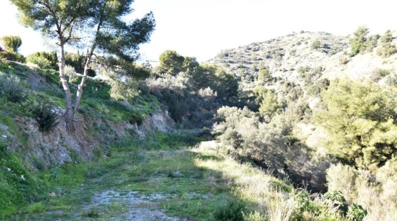 Jaén - La Iruela - 10000m2