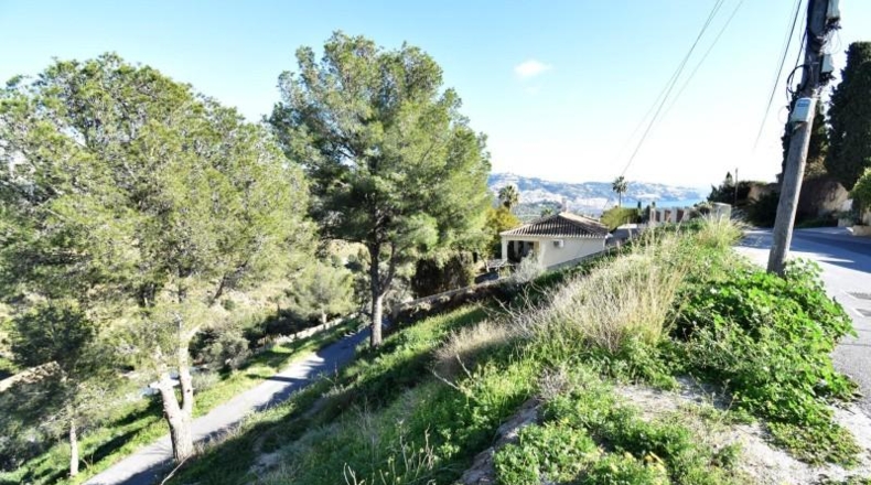 Jaén - La Iruela - 10000m2