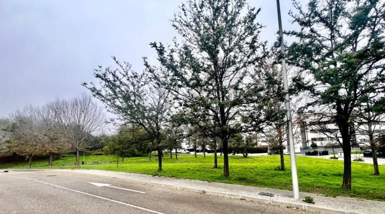 Comunidad de Madrid - Madrid - 366m2