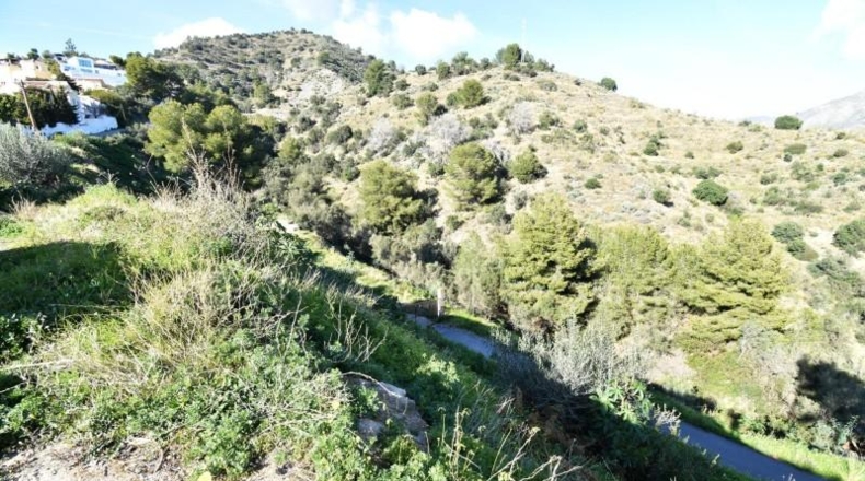 Jaen - La Iruela - 10000m2