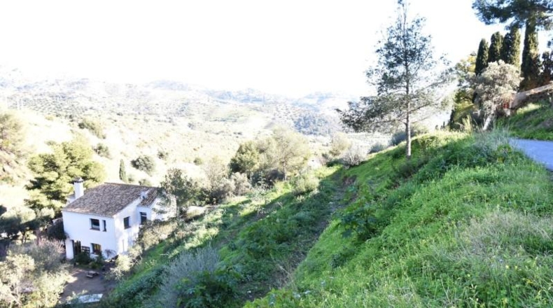 Jaen - La Iruela - 10000m2