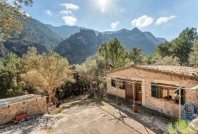 Sóller 8000&nbsp;м²