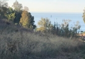 Sòl urbà en venda a la España, Benalmádena, ref.: TR122345 foto