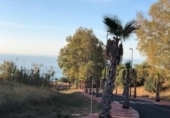 Sòl urbà en venda a la España, Benalmádena, ref.: TR122345 foto