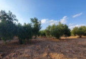 Casa de poble en venda a la España, Fuente Álamo, ref.: TR297714 foto