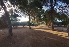 Foto 11
