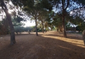 Casa de poble en venda a la España, Fuente Álamo, ref.: TR297714 foto