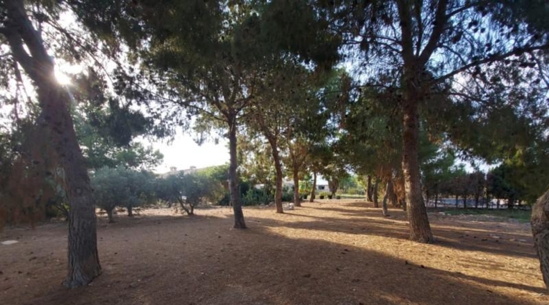 Murcia - Fuente Álamo de Murcia - 80m2