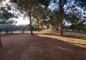 Casa de poble en venda a la España, Fuente Álamo, ref.: TR297714 foto