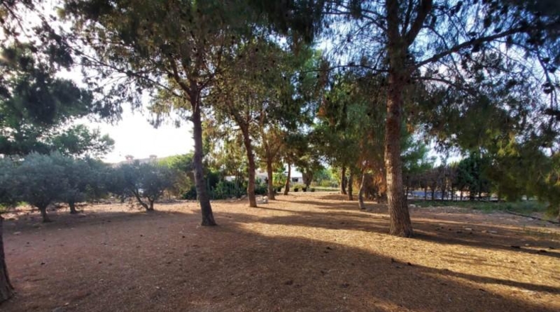 Murcia - Fuente Álamo de Murcia - 80m2
