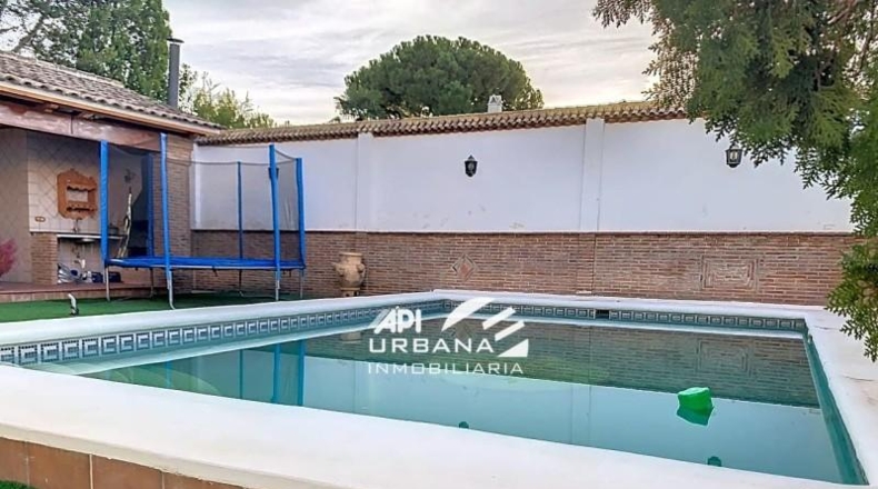 Córdoba - Lucena - 566m2
