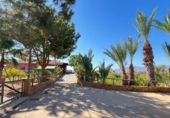 Casa de camp amb terreny en venda a la España, Vera, ref.: TR169278 foto