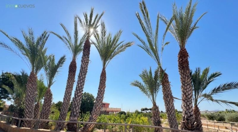 Almería - Vera - 10000m2