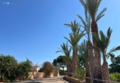 Casa de camp amb terreny en venda a la España, Vera, ref.: TR169278 foto