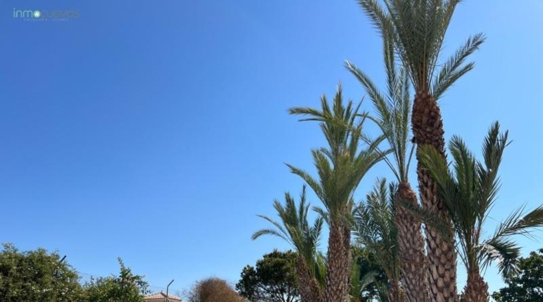 Almería - Vera - 10000m2